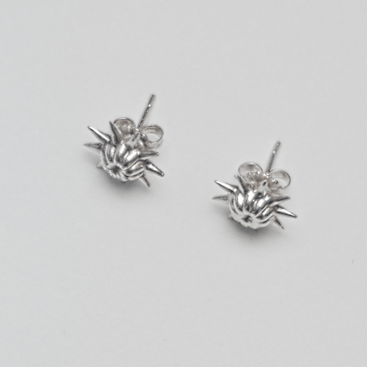 CALYX STUDS